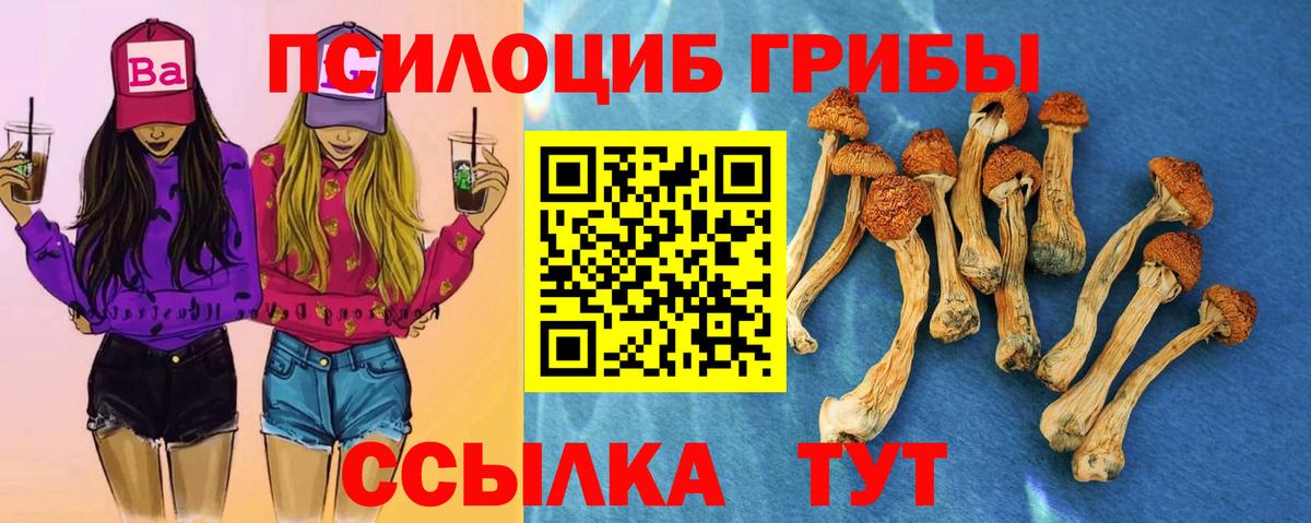 Псилоцибиновые грибы мицелий Дербент