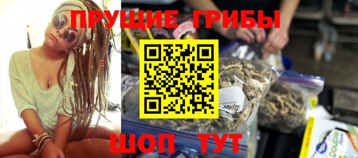 Псилоцибиновые грибы Cubensis  Вход с VPN  Дербент 